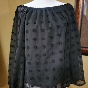 Elegant Black Sheer Blouse with Textured Accents